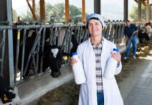 Cattle Milk Booster: How Smart Dairy Nutrition is Helping Farmers Produce More Milk in 2026 Cattle Milk Booster: How Smart Dairy Nutrition is Helping Farmers Produce More Milk in 2026